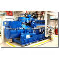 Honny 400kW-100MW Marca MWM Farm Biogas Generator